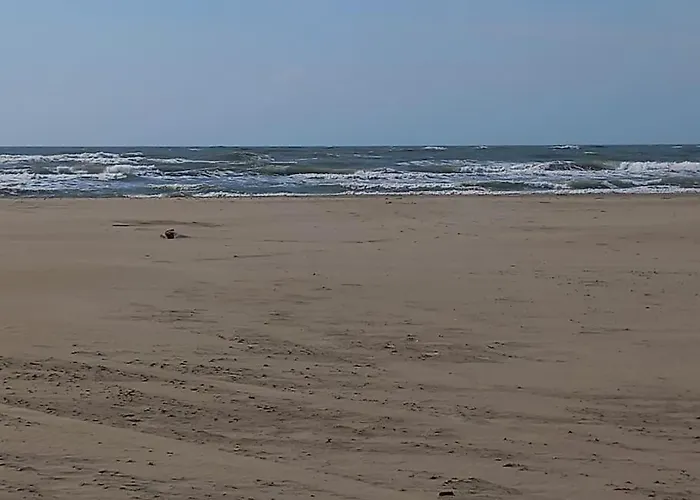 Sopraland 514, T2 Pour 5 Pers, Piscine, Petite Vue アグド