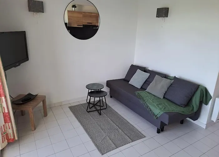 Sopraland 514, T2 Pour 5 Pers, Piscine, Petite Vue * アグド